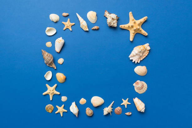 istock Summer time concept on colored background. Seashells from ocean shore in the shape of frame separated with space for text top view 1400611941
