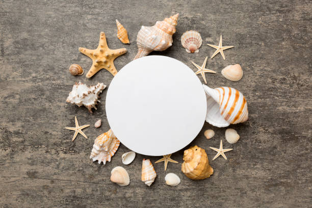 istock Summer time concept with blank greeting card and blank white paper on colored background. Seashells from ocean shore in the shape of frame separated with space for text top view 1400611946