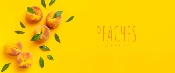 istock Summer fruit background. Flat lay composition with peaches. Ripe juicy peaches with green leaves on yellow background. Flat lay top view copy space. Fresh organic fruit, vegan food. Harvest concept 1400614696