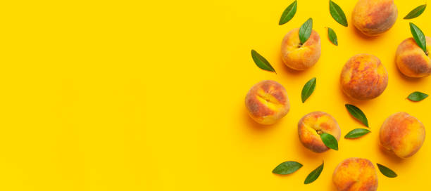 Summer fruit background. Flat lay composition with peaches. Ripe juicy peaches with green leaves on yellow background. Flat lay top view copy space. Fresh organic fruit, vegan food. Harvest concept