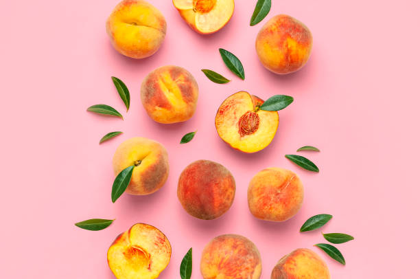 Summer fruit background. Flat lay composition with peaches. Ripe juicy peaches with green leaves on pink background. Flat lay top view copy space. Fresh organic fruit vegan food. Harvest concept Summer fruit background. Flat lay composition with peaches. Ripe juicy peaches with green leaves on pink background. Flat lay top view copy space. Fresh organic fruit vegan food. Harvest concept. peach tree stock pictures, royalty-free photos & images