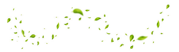 istock Green flying leaves wave. Organic cosmetic banner. Leaf falling. Foliage ornament. Vegan, eco design element. Cosmetic pattern border. Fresh tea background. Beauty product. Vector illustration 1400615533
