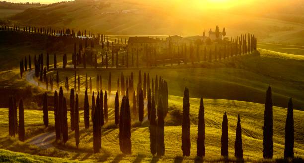 Sunset Farm Baccoleno