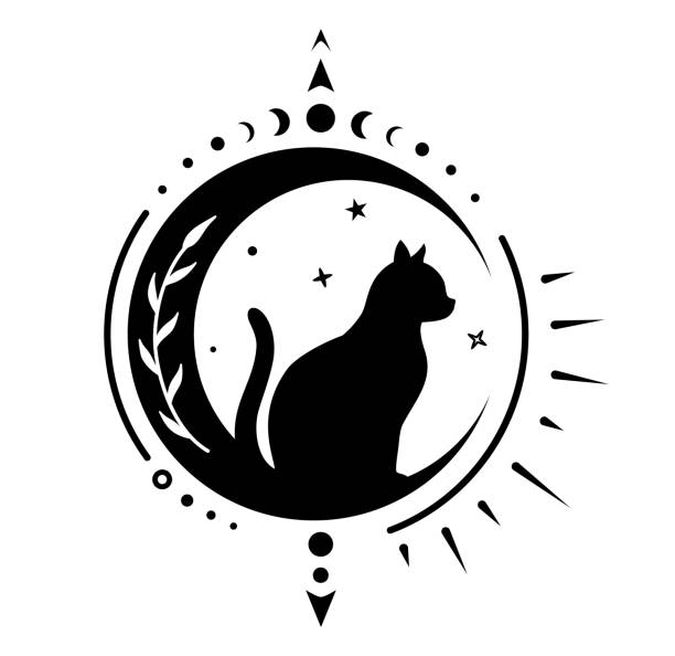 ilustrações, clipart, desenhos animados e ícones de gato na lua projeto bruxa. sinal de vetor de alquimia mística. - alquimia