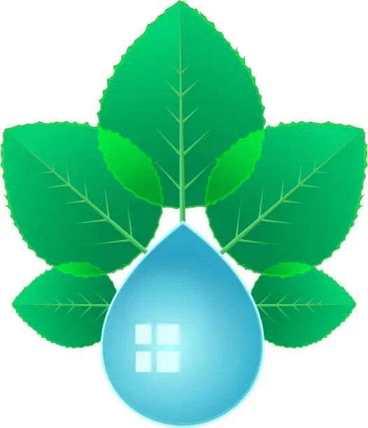 Vector illustration of Water drop with green leaves. Plant growing from water concept.