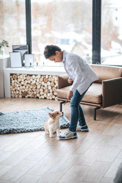 istock A boy playing with a puppy and looking involved 1400627267