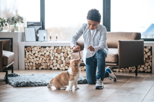 istock A boy playing with a puppy and looking involved 1400627268