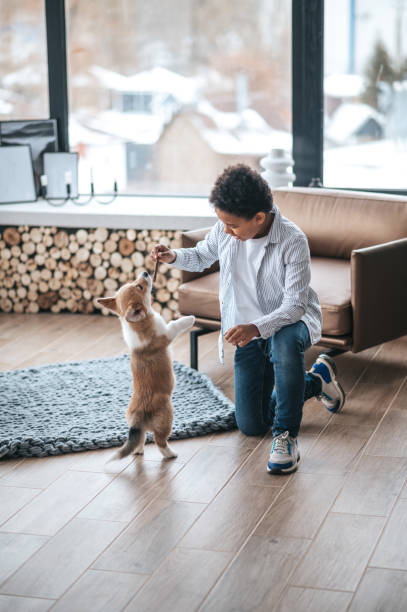 istock A boy playing with a puppy and looking involved 1400627270