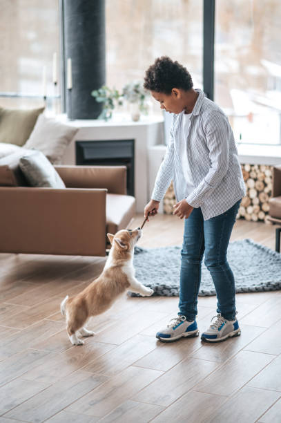 istock A boy playing with a puppy and looking involved 1400627279