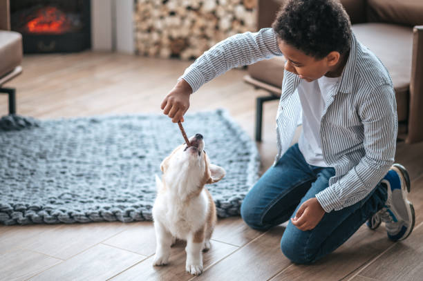 istock A boy holding a stick and playing with a puppy 1400627285