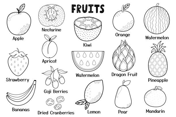 2,300+ Fruits And Vegetables For Coloring Book Stock Illustrations