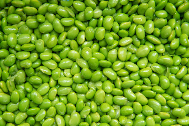Cooked  edamame (green soybeans) background stock photo