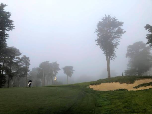 A photo of a single golfer playing in a park at a beautiful golf course shrouded in fog, with large cypress trees, in San Francisco, United States stock photo