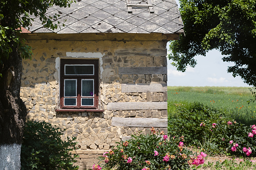 Part of ancient wooden and clay wall with window of Ukrainian authentic house with flowers and fruit trees around in summer. Old building of traditional Ukrainian village.