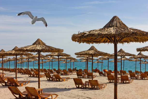 アブダビ、アラブ首長国連邦、海のビーチ、サーバニヤス島 - middle east recreational pursuit abu dhabi united arab emirates ストックフォトと画像