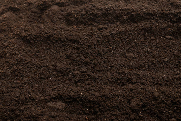 istock Black land for plant background. Top view. 1400633492