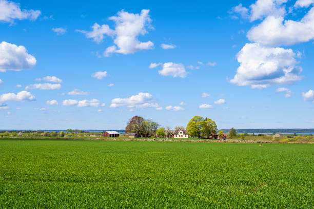 istock Green field with a farm in the countryside 1400633694