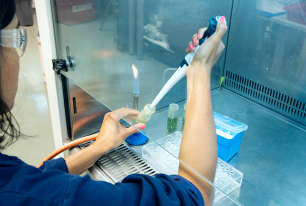 Close-up of a young research scientist wearing protective glasses using a pipette to place samples in a small beaker behind safety glass in a laboratory