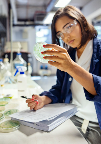 Young research scientist wearing protective glasses recording data while examining samples in petri dishes at a counter in a laboratory