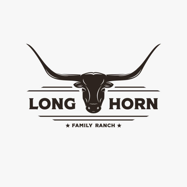 vintage retro western texas longhorn label logo-vektor auf weißem hintergrund - texas longhorn cattle horned cattle farm stock-grafiken, -clipart, -cartoons und -symbole