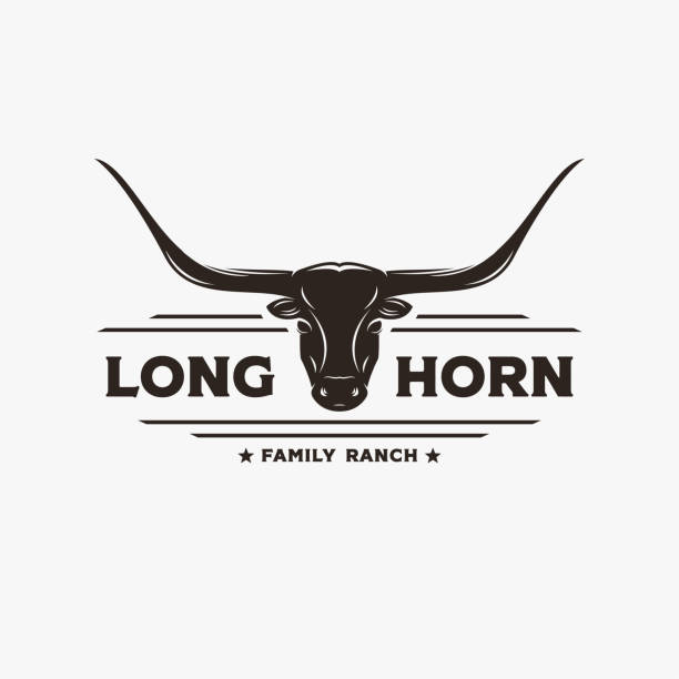 빈티지 복고풍 서부 텍사스 롱혼 라벨 로고 벡터 흰색 배경 - texas longhorn cattle bull horned cattle stock illustrations