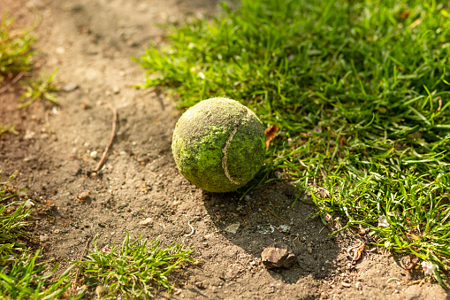 dirty yellow tennis ball on dirt road and grass