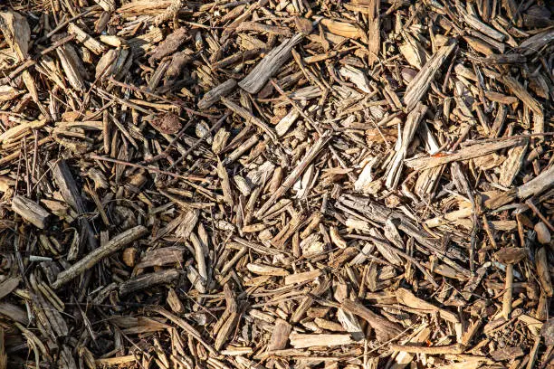 Photo of wood chips from forestry residues for biomass and garden ornamentation