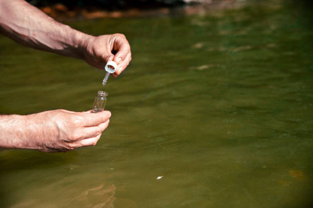istock Water Quality Conditions after the flood 1400638406
