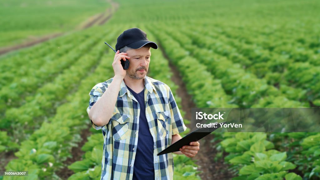 Male farmer in agricultural field holding a clipboard and talking on walkie-talkie Walkie-talkie Stock Photo