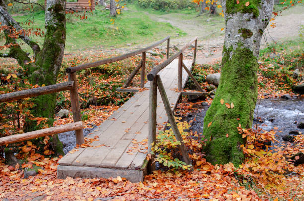 Wooden bridge over a stream in the autumn forest.