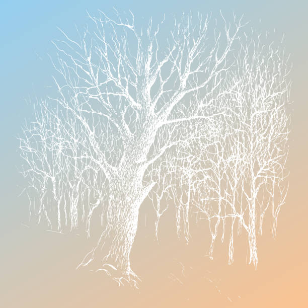 istock White oak trees silhouettes without leaves. Vector traced vintage ink and pen sketch drawing 1400643243