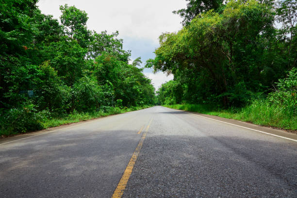 istock Asphalt road through the green forest 1400644641