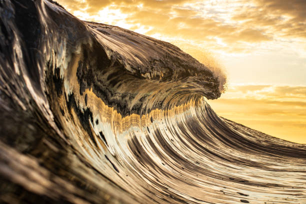 Golden ocean wave illuminated by the bright morning sun
