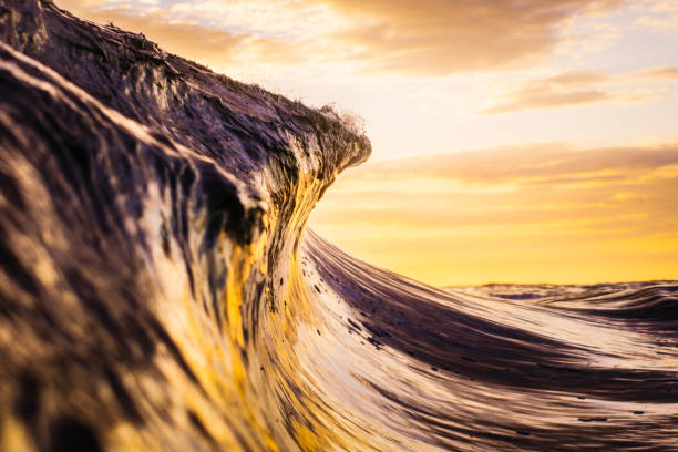 istock High contrast brightly lit ocean wave cresting in brilliant golden light 1400647953