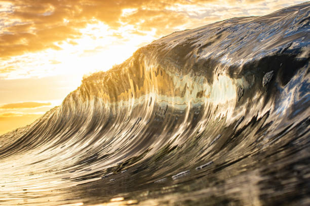 istock High contrast brightly lit ocean wave standing up in brilliant golden light 1400648046