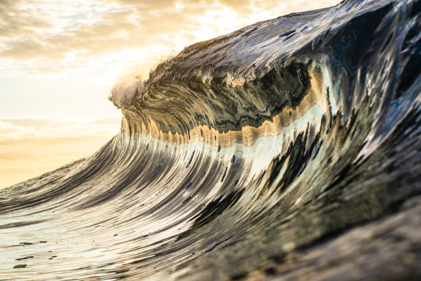 istock High contrast brightly lit ocean wave breaking over in brilliant golden light 1400648057