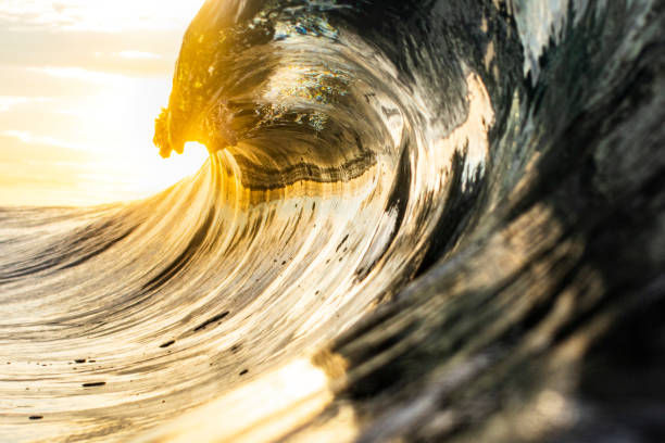istock High contrast brightly lit ocean wave curling in brilliant golden light 1400648154
