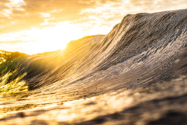 istock Tall golden ocean wave illuminated by the bright morning sun 1400648303
