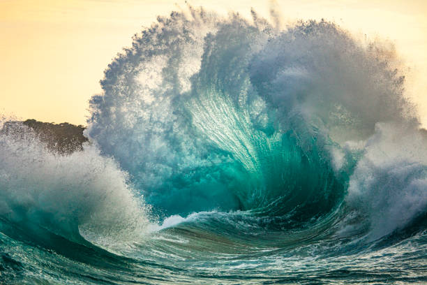 powerful storm generated ocean swell exploding dangerously on the shoreline with soft golden sky - tide sea breaking water imagens e fotografias de stock