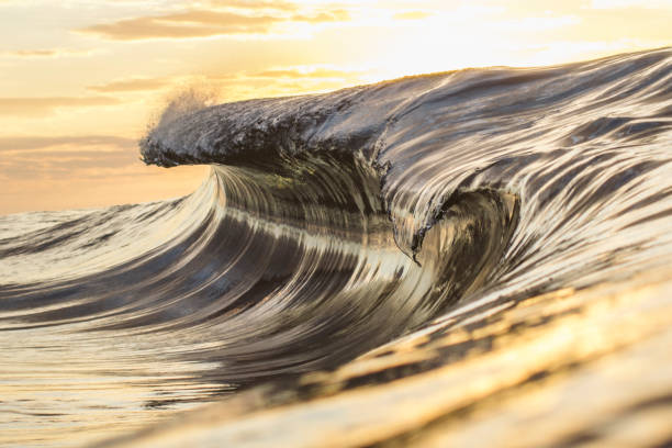 istock Golden ocean wave illuminated by the bright morning sun 1400648486