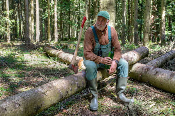 pausa de trabajo en el bosque. - leñador fotografías e imágenes de stock