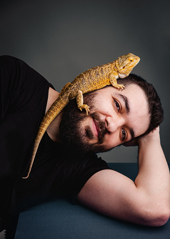 Portrait in the studio, bearded dragon pet on his owner head.