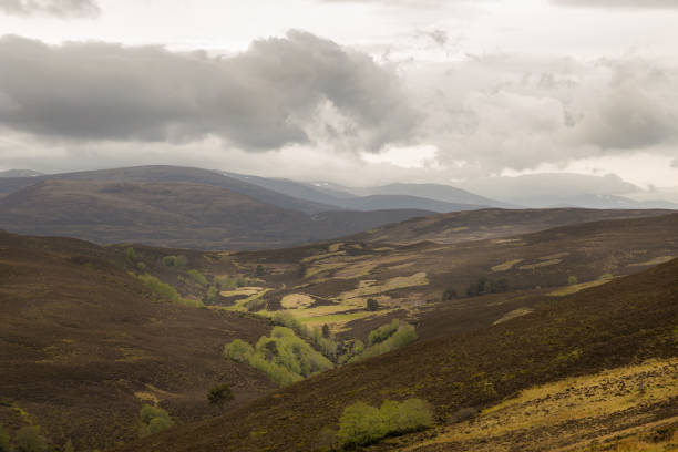istock landscape in the Scottish highlands 1400651235