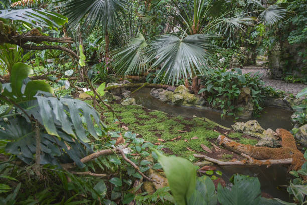 istock Natural background of subtropical landscape. 1400651281