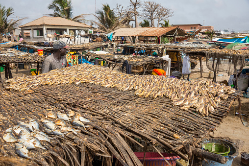 Tanji, The Gambia - May 08, 2017: Fish drying areas in the vicinity of the beach