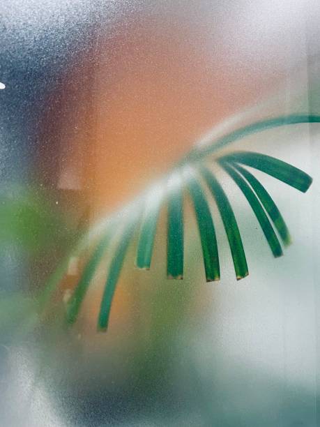istock Leaf background behind the frosted glass 1400656072