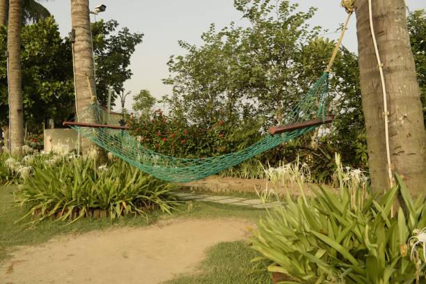 istock hammock laid in the green 1400656464