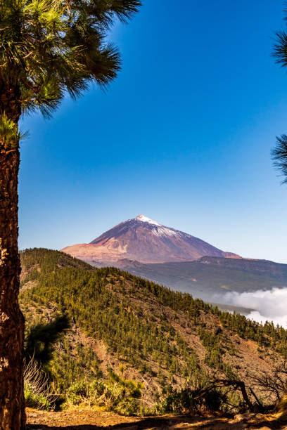 istock Landscape in Teide National Park, Tenerife island. 1400658975