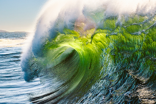 Extreme close up of powerful green open ocean wave generated by storm swell breaking over a shallow reef back lit by bright morning sun light