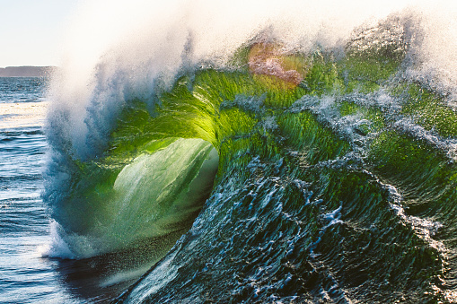 Extreme close up of powerful green open ocean wave generated by storm swell breaking over a shallow reef back lit by bright morning sun light